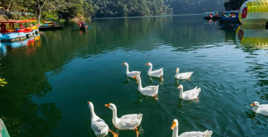 sattal lake